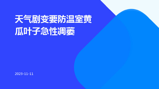 天气剧变要防温室黄瓜叶子急性凋萎