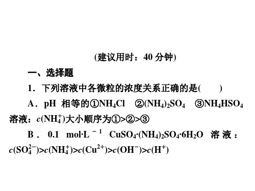 高三化学二轮高考热点课——溶液中微粒浓度大小的比较