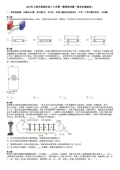 2024年上海市杨浦区高三上学期一模物理试题(期末质量抽查)