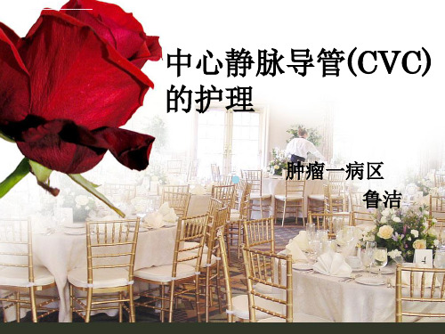 中心静脉导管(CVC)的护理ppt课件