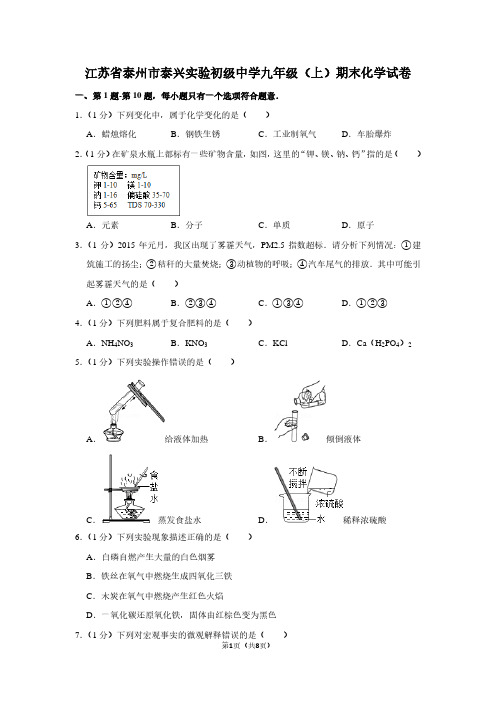 江苏省泰州市泰兴实验初级中学九年级(上)期末化学试卷