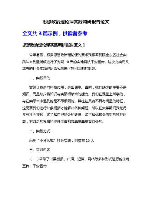 思想政治理论课实践调研报告范文