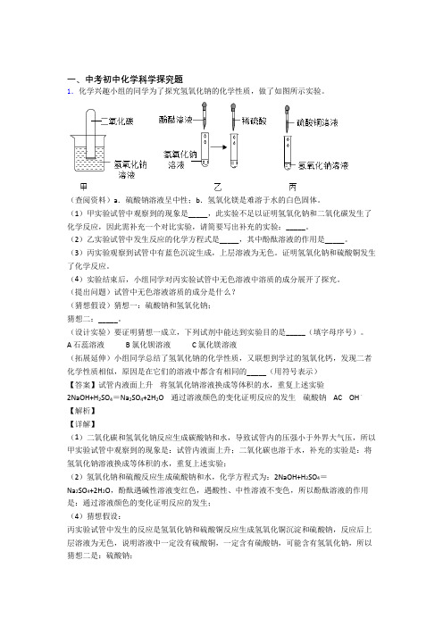 中考化学压轴题专题复习——探究题的综合及答案解析