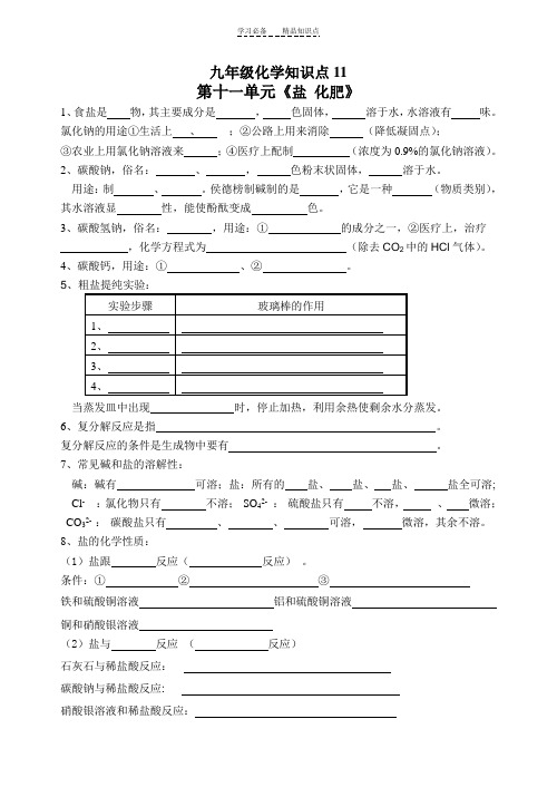 九年级化学盐、化肥知识点及答案