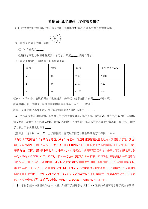 中考化学大题狂做系列专题06原子核外电子排布及离子含解析