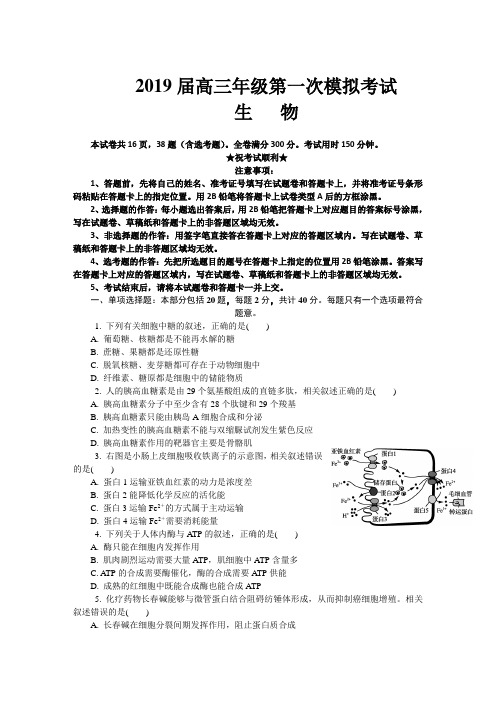 江苏省南通市2019届高三第一次模拟考试 生物