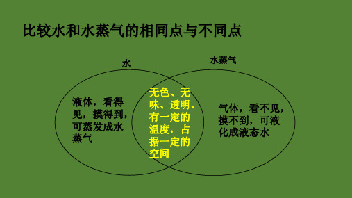 新教科版三年级上册科学活动手册