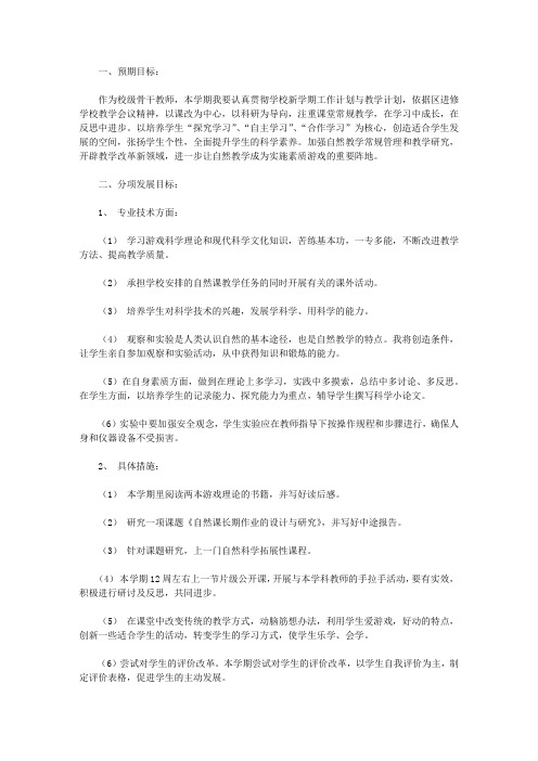 2020学校骨干教师工作计划4篇