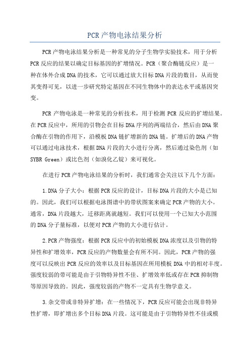 PCR产物电泳结果分析