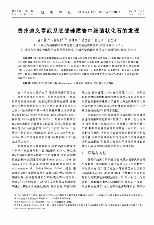 贵州遵义寒武系底部硅质岩中细菌状化石的发现