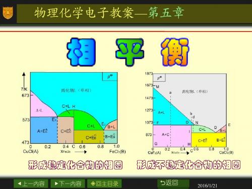 第五章_多相平衡