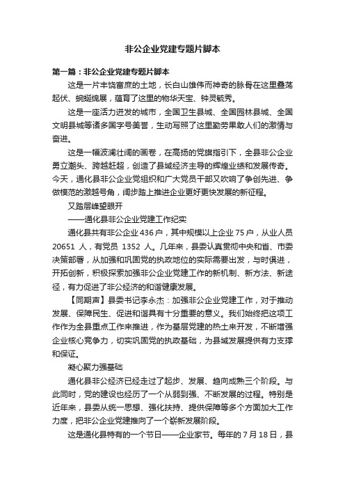 非公企业党建专题片脚本