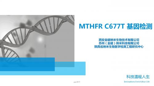 MTHFR C677T 基因检测(综合)  ppt课件