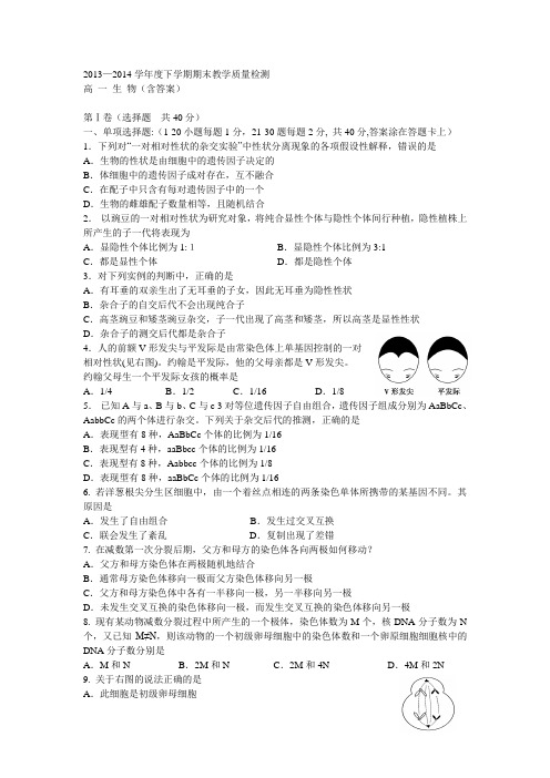 2013—2014学年度下学期期末教学质量检测高 一 生 物(含答案)