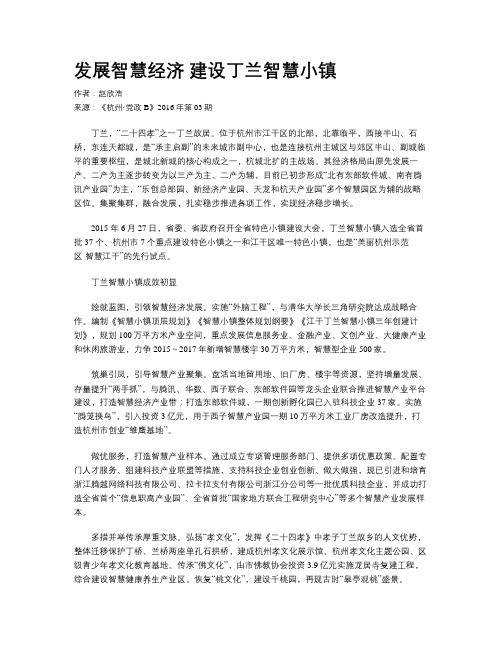 发展智慧经济 建设丁兰智慧小镇