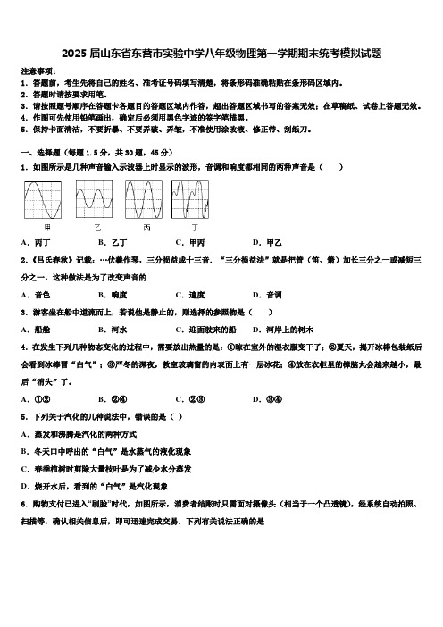 2025届山东省东营市实验中学八年级物理第一学期期末统考模拟试题含解析