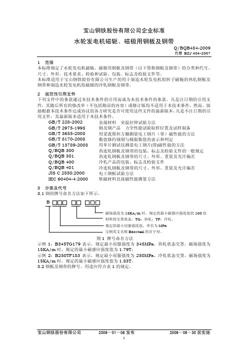 Q-BQB 484-2009 水轮发电机磁轭、磁极用钢板及钢带