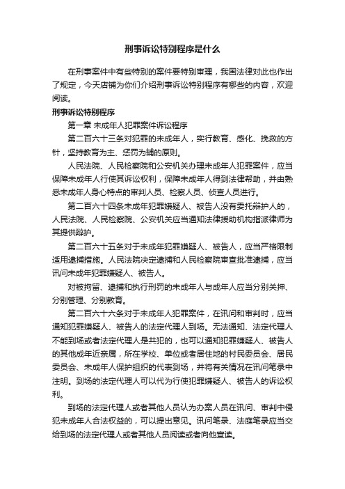 刑事诉讼特别程序是什么