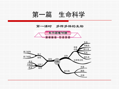 生命科学——第1课时：多种多样的生物