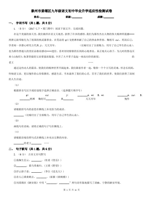 泰州市姜堰区九年级语文初中毕业升学适应性检测试卷