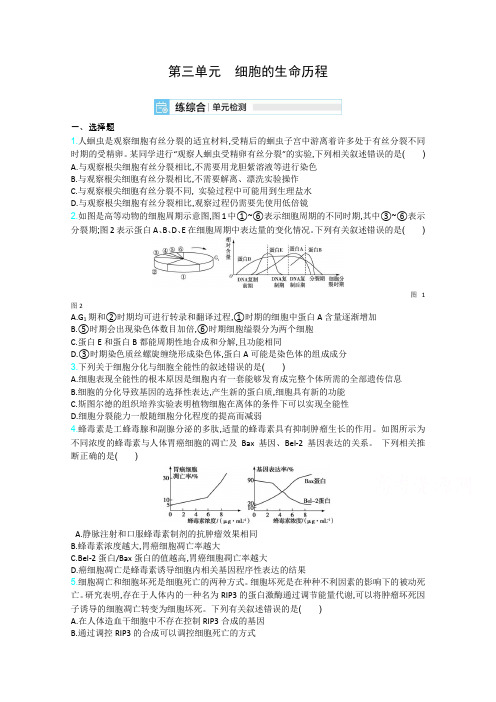 21高考生物新高考一轮复习考点考法精练：第三单元 细胞的生命历程 含解析