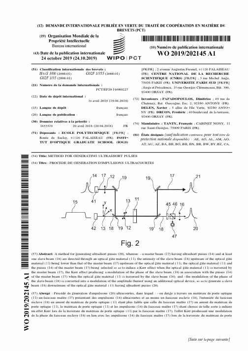【WO2019202145A1】超短脉冲的产生方法【专利】
