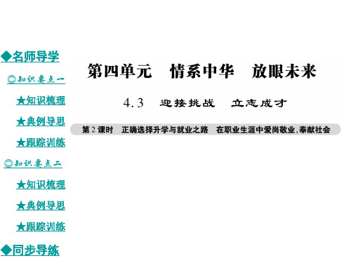 九年级政治全册 4.3 正确选择升学与就业之路 在职业生