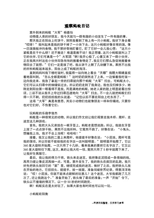 观察蚂蚁日记_五年级日记
