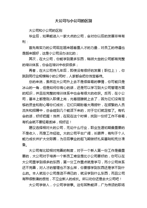 大公司与小公司的区别