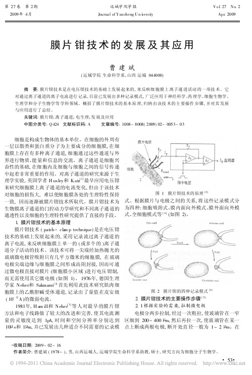 膜片钳技术的发展及其应用