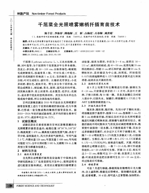 千屈菜全光照喷雾嫩梢扦插育苗技术