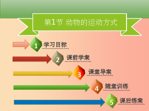 八年级生物上册第五单元第15章第1节动物的运动方式习题课件(新版)北师大版