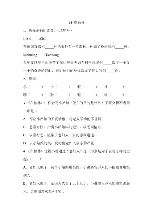 六年级语文上册 一课一练 14 在柏林(部编版,含答案)