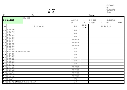 渠道商检验与测试实地审查表