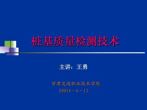 桩基检测技术培训讲义概述