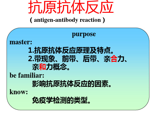 抗原抗体反应