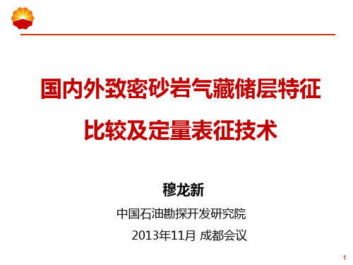 国内外致密气藏储层特征比较及定量表征技术PPT课件