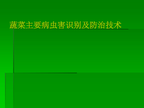 蔬菜主要病虫害识别及防治技术(培训课件PPT)