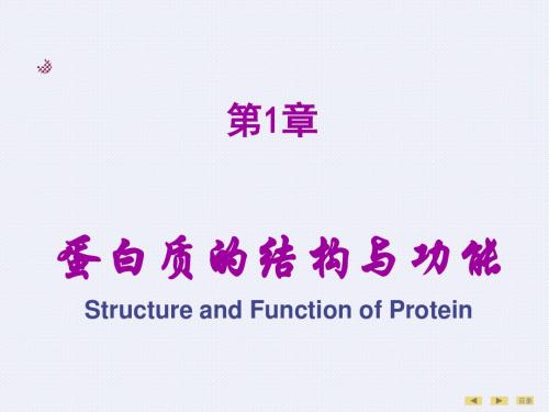 生物化学第01章蛋白质的结构与功能1