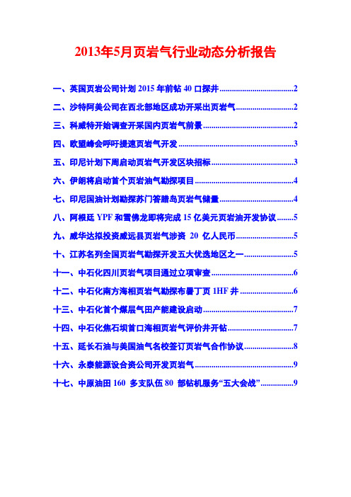 2013年页岩气行业动态分析报告