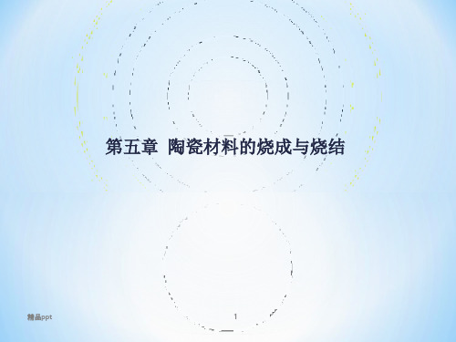 第五章 烧结-1PPT课件