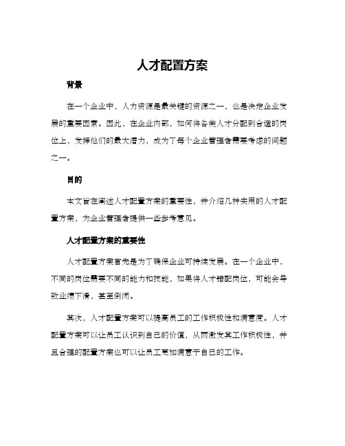 人才配置方案