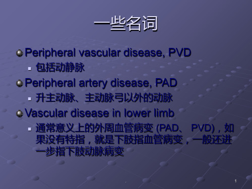 糖尿病周围血管病变ppt课件