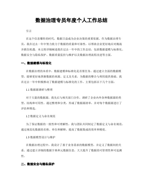 数据治理专员年度个人工作总结