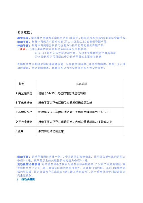 脊髓损伤功能评定