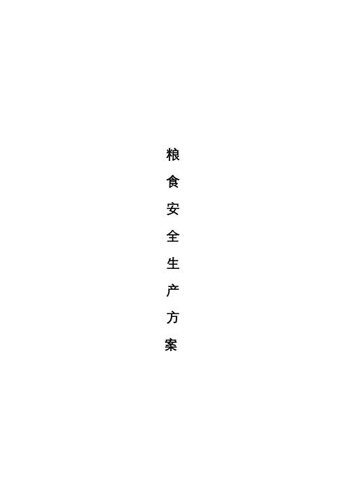 粮食安全生产方案