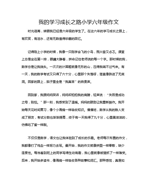 我的学习成长之路小学六年级作文