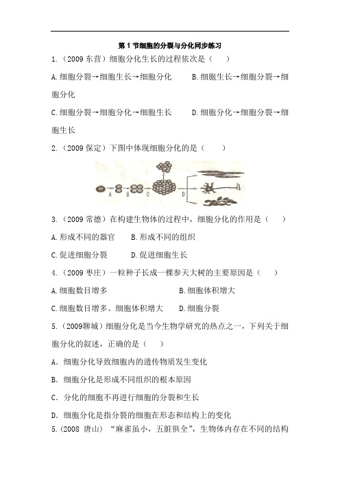 七年级生物细胞的分裂与分化精品同步练习