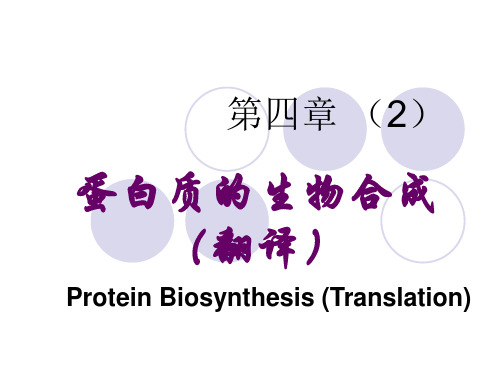 第四章(2)原核生物的翻译过程