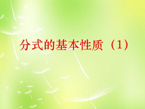 2015年春季新版苏科版八年级数学下学期10.2、分式的基本性质课件15